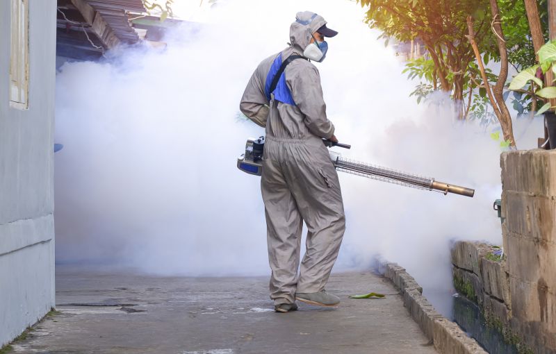 Smoke Mitigation Service
